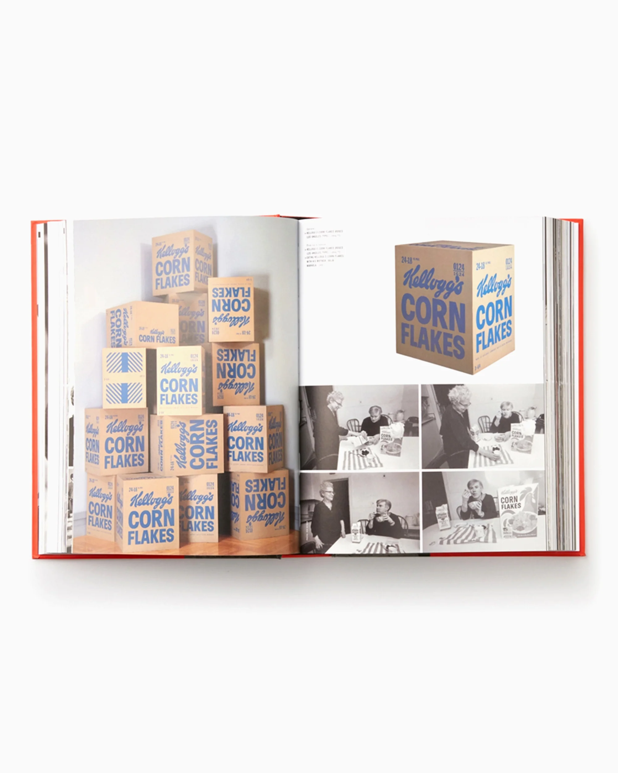 Andy Warhol "Giant" Size - Mini Format Phaidon Editors By Dave Hickey - Image 4