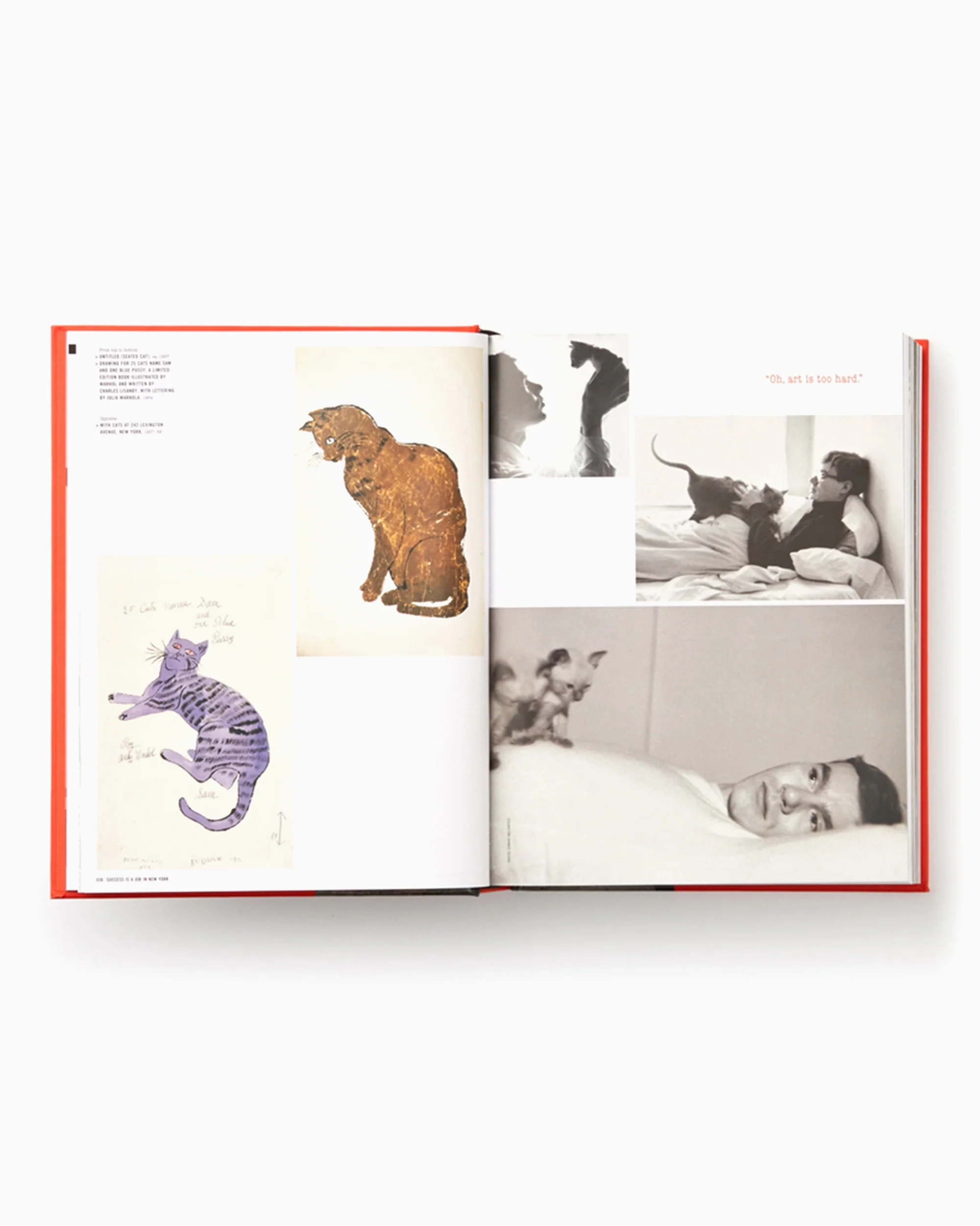 Andy Warhol "Giant" Size Phaidon Editors By Dave Hickey - Image 6