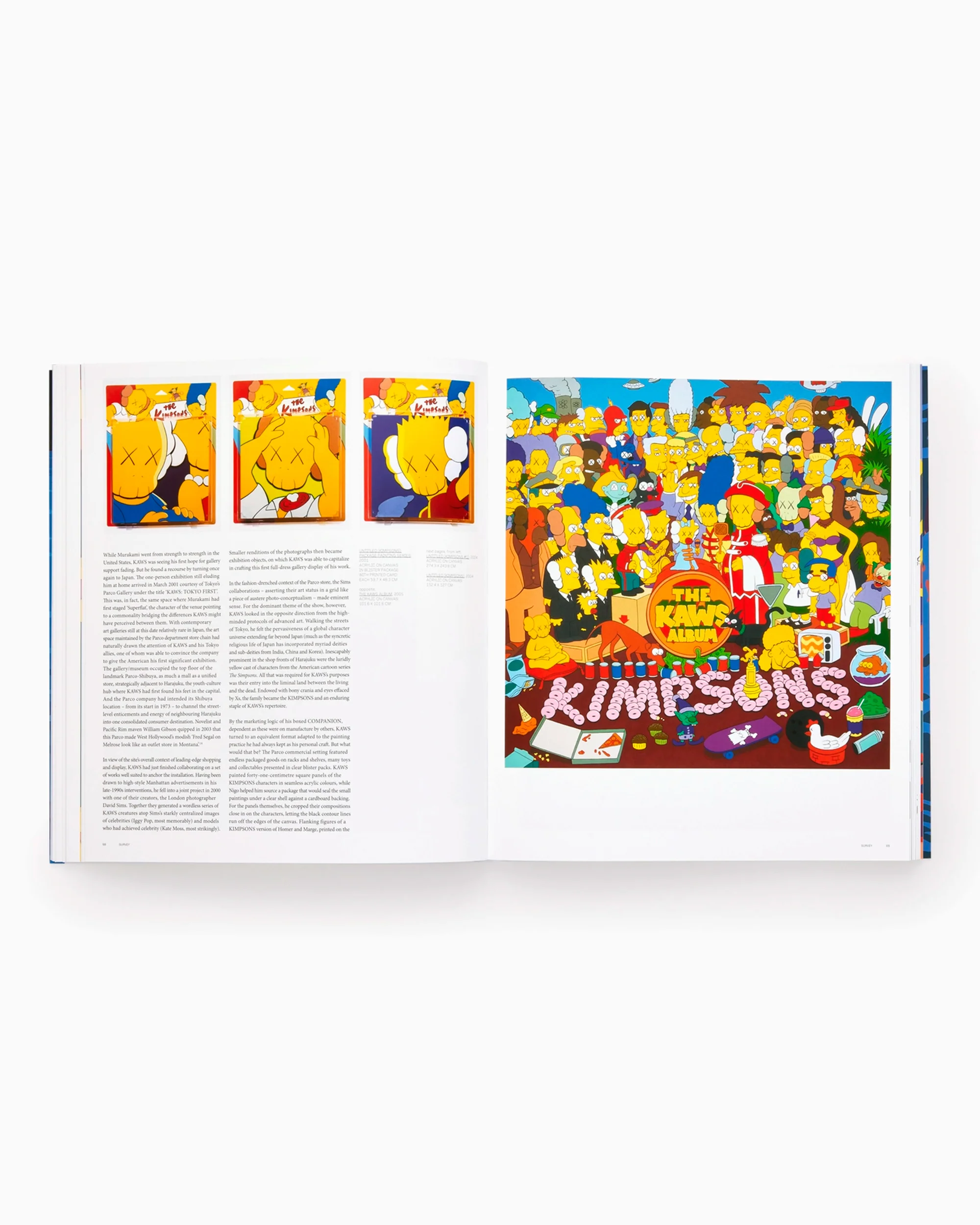 Phaidon KAWS: Contemporary Artists - Image 7