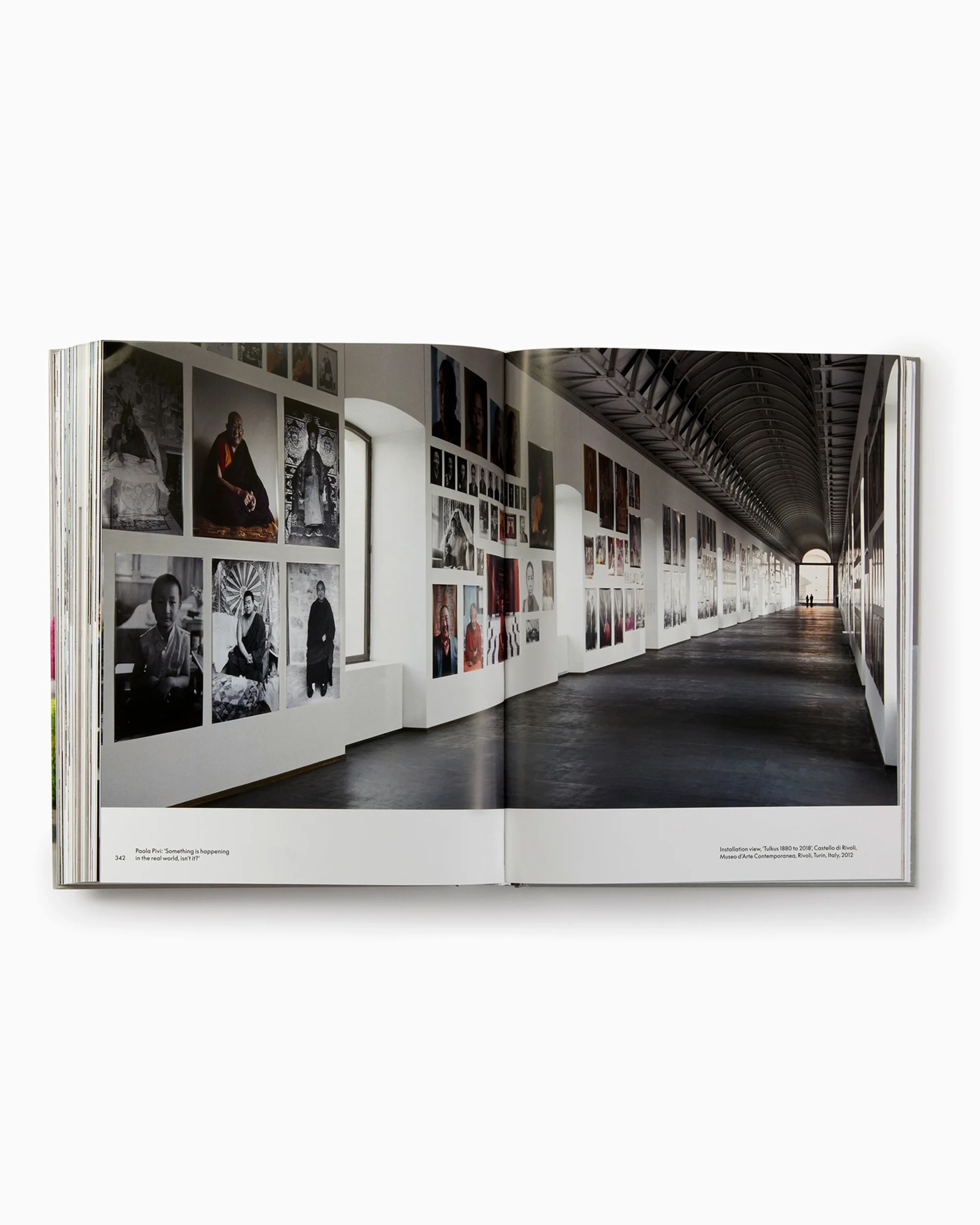 Phaidon Paola Pivi By Justine Ludwig - Image 5