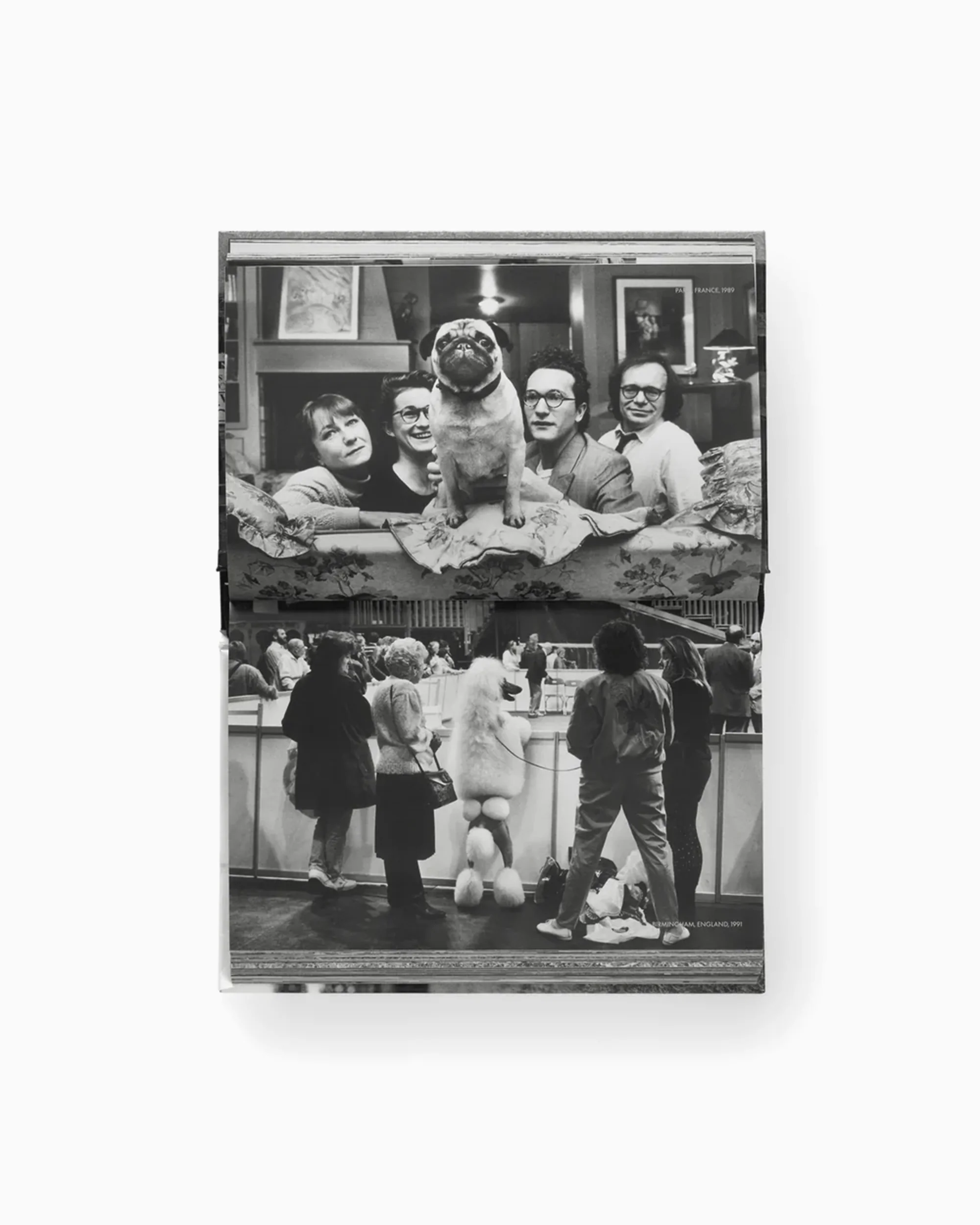 Phaidon Elliot Erwitt: Vida De Perros - Image 7